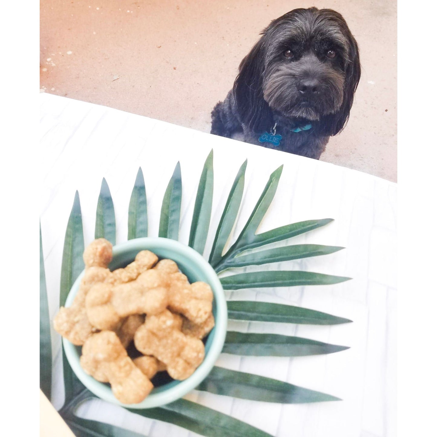 Peanut Butter & Banana Biscuits